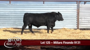 Lot #125 - MILLARS FINANDO 9131