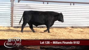 Lot #126 - MILLARS FINANDO 9152