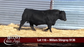 Lot #116 - MILLARS STINGRAY 9136