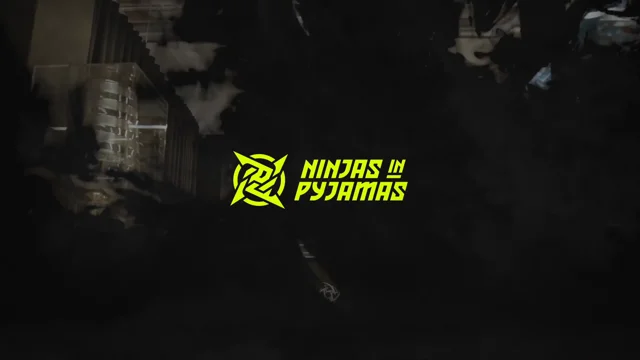 Ninjas in best sale pyjamas website