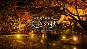 京都植物園映像