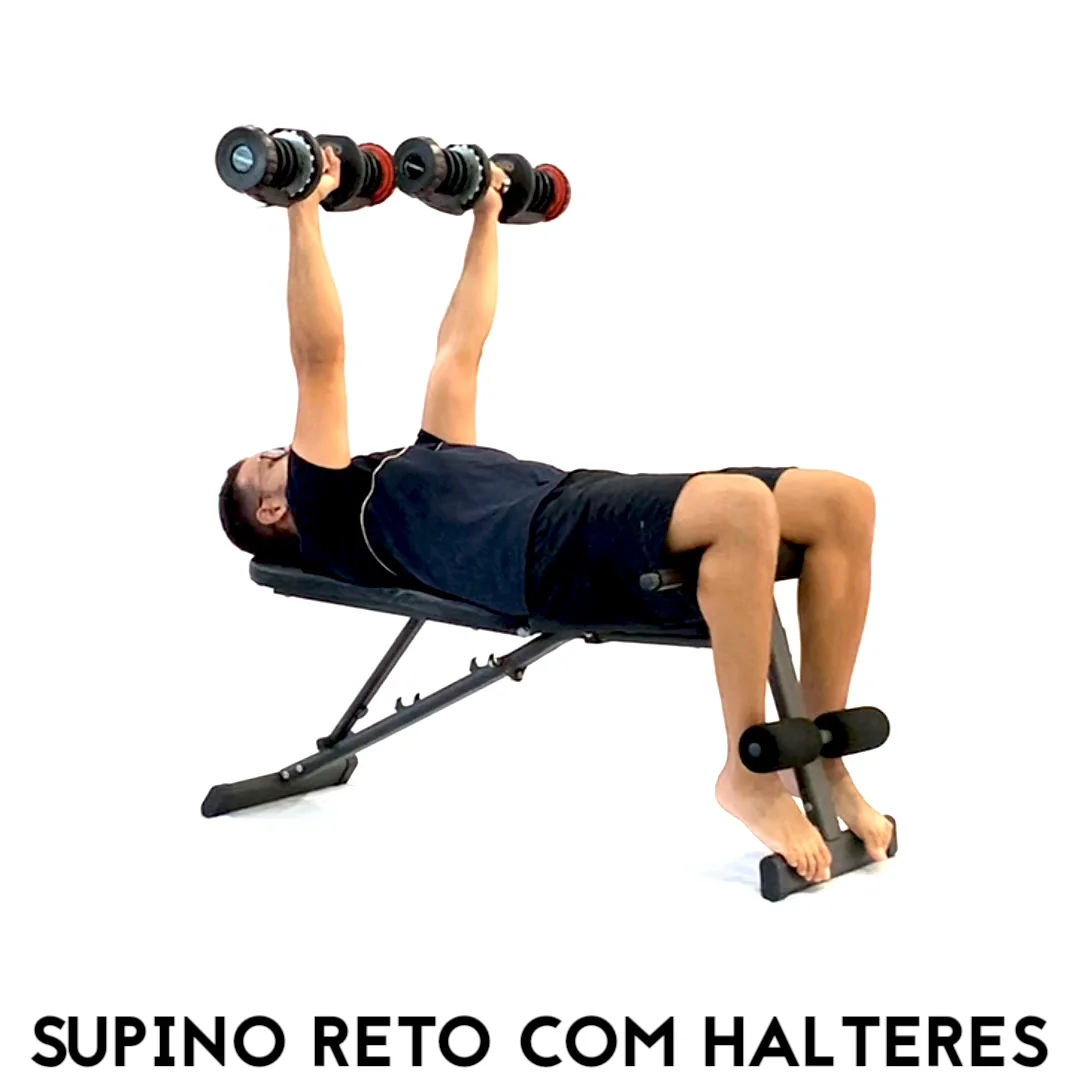 Supino reto c/ halteres - solo, Catálogo de Exercícios