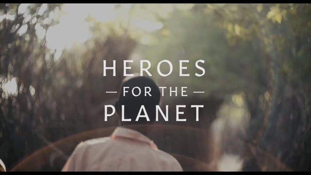 vimeo video