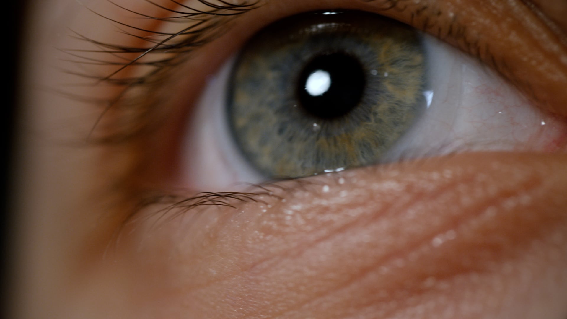 Een Filmmaker's Manifest