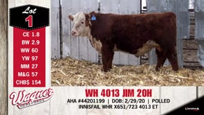 Lot #1 - WH 4013 JIM 20H