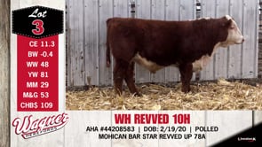 Lot #3 - WH REVVED 10H