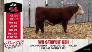 Lot #14 - WH CATAPULT 63H