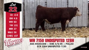 Lot #22 - WH 7150 UNDISPUTED 128H
