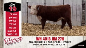Lot #19 - WH 4013 JIM 27H