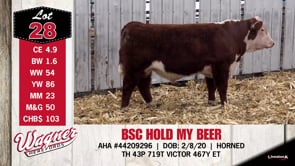 Lot #28 - BSC HOLD MY BEER
