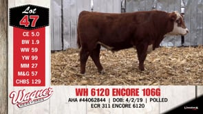 Lot #47 - WH 6120 ENCORE 106G