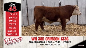 Lot #45 - WH 38D CRIMSON 133G