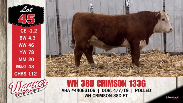 Lot #45 - WH 38D CRIMSON 133G