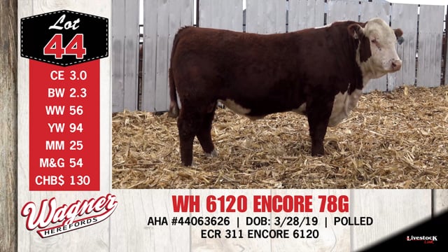 Lot #44 - WH 6120 ENCORE 78G