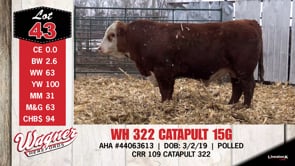 Lot #43 - WH 322 CATAPULT 15G