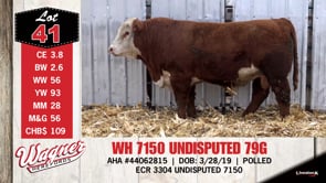 Lot #41 - WH 7150 UNDISPUTED 79G