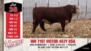 Lot #38 - WH 719T VICTOR 467Y 05G