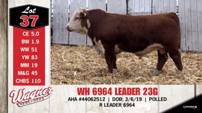 Lot #37 - WH 6964 LEADER 23G