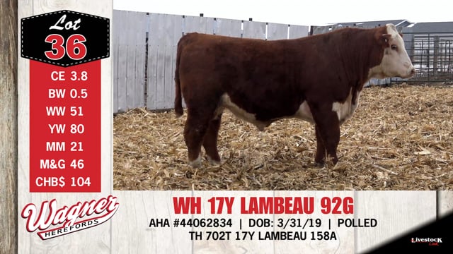 Lot #36 - WH 17Y LAMBEAU 92G