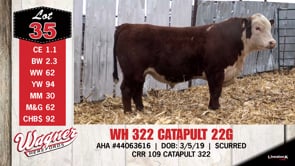 Lot #35 - WH 322 CATAPULT 22G