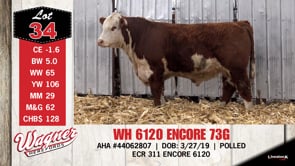 Lot #34 - WH 6120 ENCORE 73G