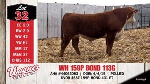 Lot #32 - WH 159P BOND 113G