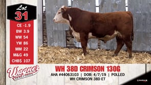 Lot #31 - WH 38D CRIMSON 130D