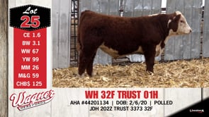 Lot #25 - WH 32F TRUST 01H