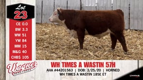 Lot #23 - WH TIMES A WASTIN 57H