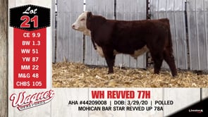 Lot #21 - WH REVVED 77H