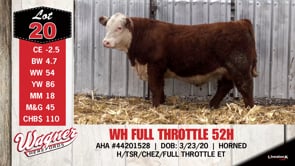 Lot #20 - WH FULL THROTTLE 52H
