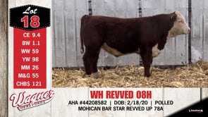 Lot #18 - WH REVVED 08H