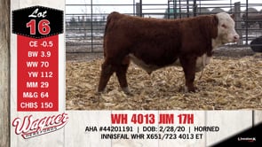 Lot #16 - WH 4013 JIM 17H