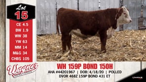 Lot #15 - WH 159P BOND 150H