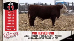 Lot #11 - WH REVVED 03H