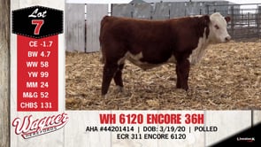 Lot #7 - WH 6120 ENCORE 36H