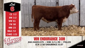 Lot #6 - WH ENDURANCE 30H