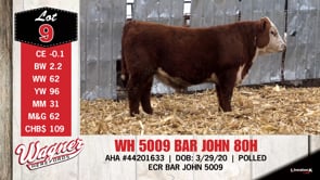 Lot #9 - WH 5009 BAR JOHN 80H