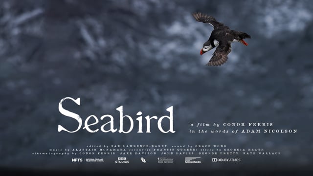 Seabird - Trailer