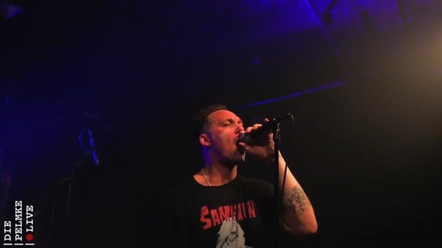 Tigerjunge live