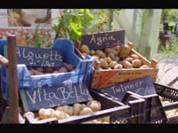 Gezonde en duurzame voedselproductie