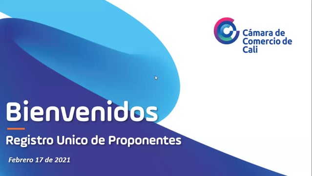 Conferencia Registro Único de Proponentes, Memoria Webinar (URR) Video Sesión 1