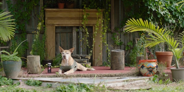 WETLANDS SAKE