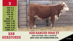 Lot #3 - K&B RANGER 006H ET