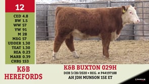Lot #12 - K&B BUXTON 029H