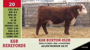 Lot #20 - K&B BUXTON 052H