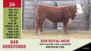 Lot #26 - K&B ROYAL 065H
