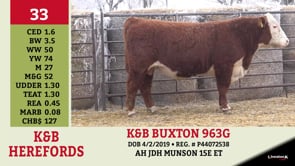 Lot #33 - K&B BUXTON 963G