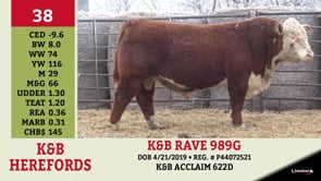 Lot #38 - K&B RAVE 989G
