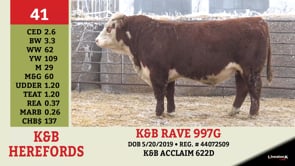 Lot #41 - K&B RAVE 997G